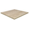 Horeca-Tafelblad-Madrid-K2-60x60-2.8-Cm-Dik-B