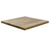 Horeca-Tafelblad-Werzalit-New-Findus-70x70-3-Cm-Dik-1