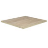 Horeca-Tafelblad-Madrid-K2-50x60-2.8-Cm-Dik