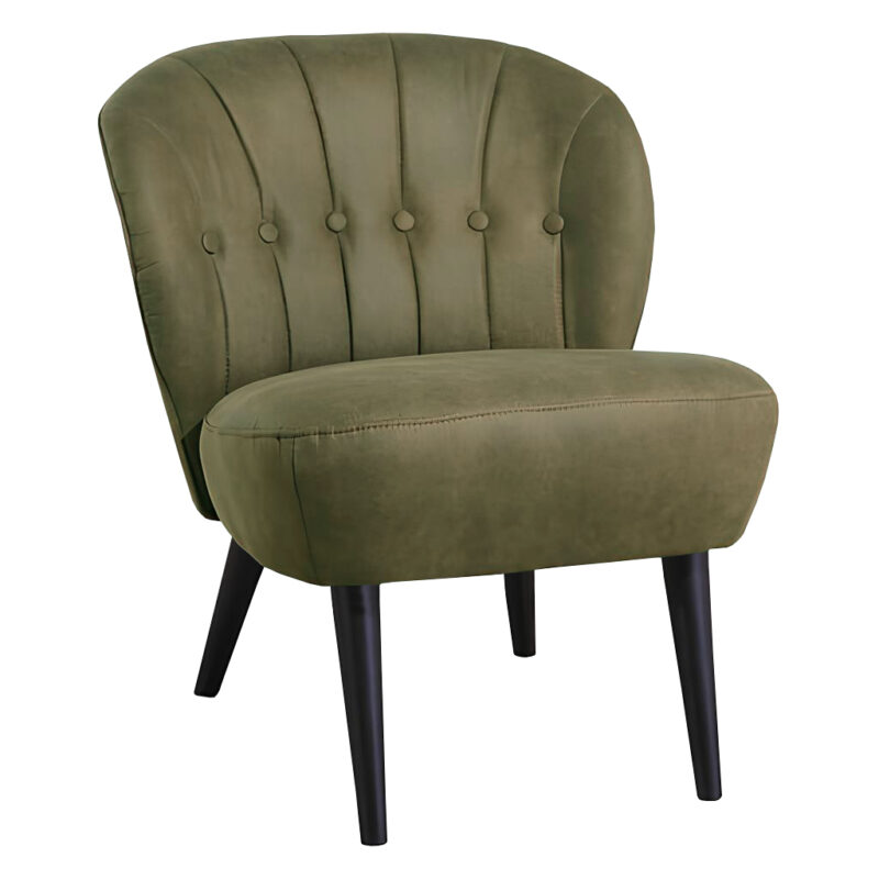 LETO-OLIVE-411