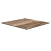 Compact-Indian-Schesman-69x69-cm